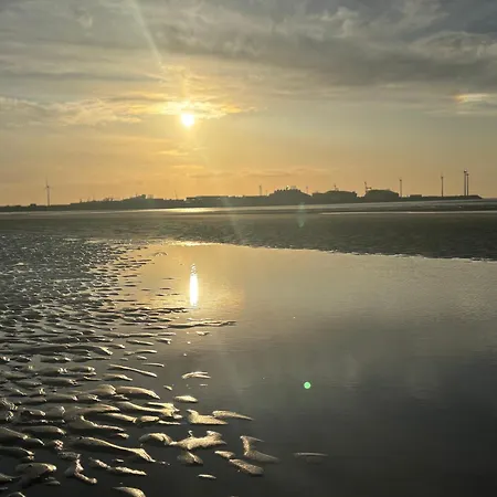 Family With A Large Terrace * Knokke-Heist